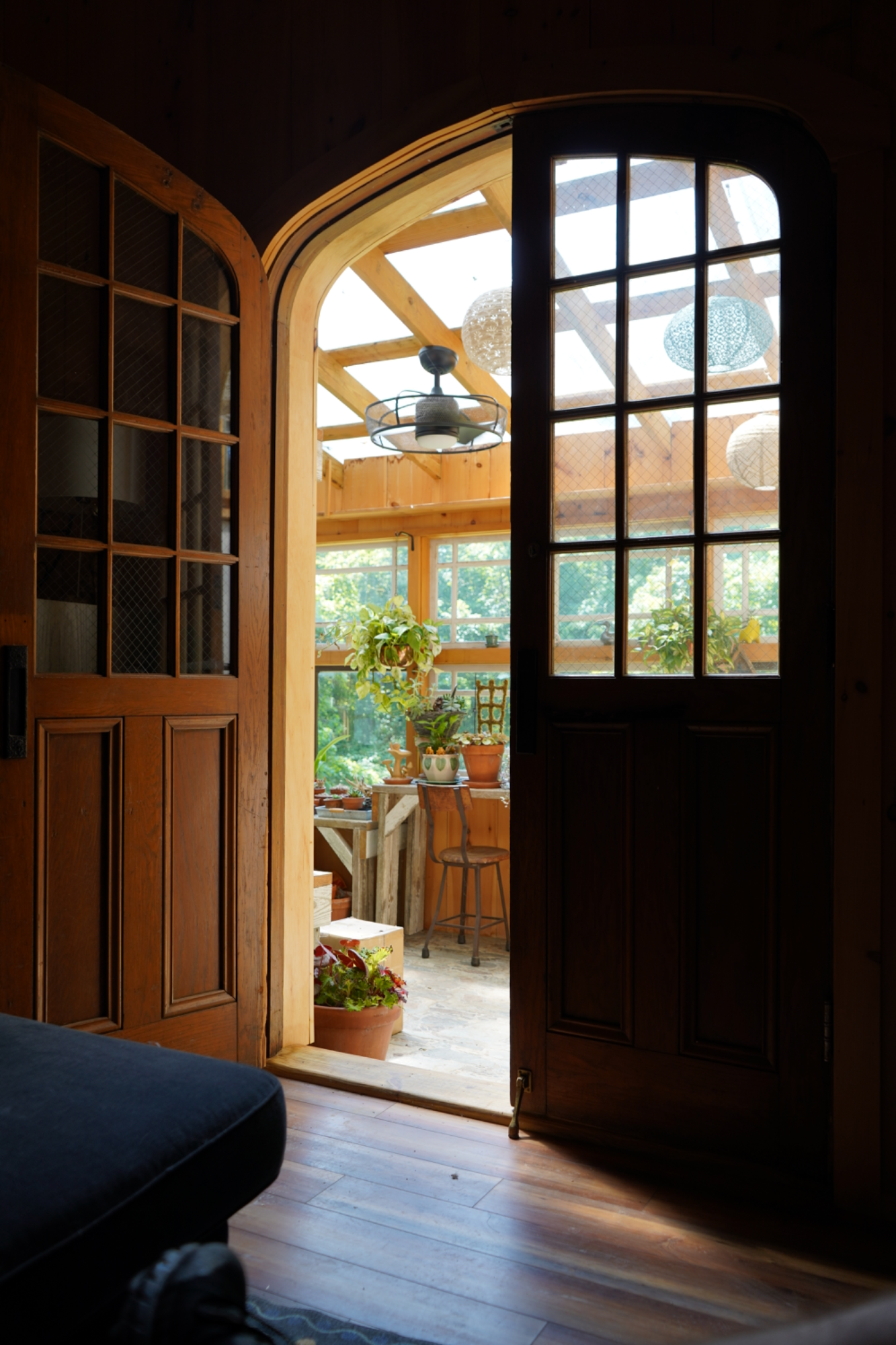 Greenhouse through doorway