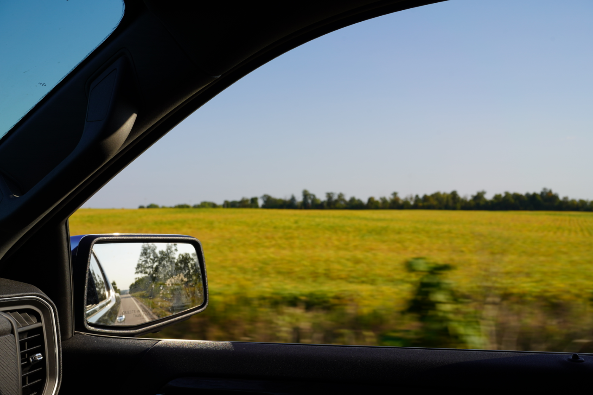 Golden field from car