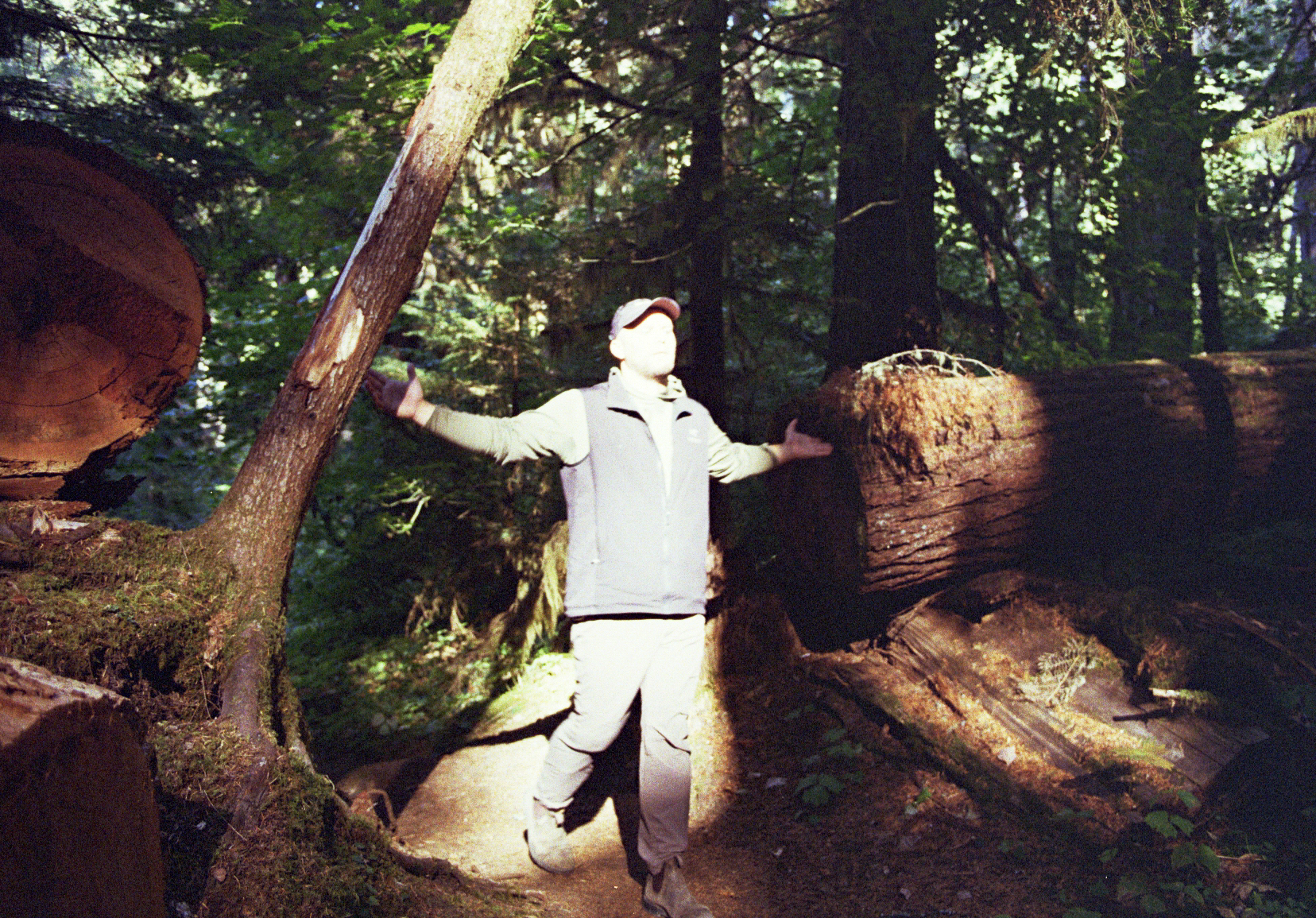 Metal building with plants